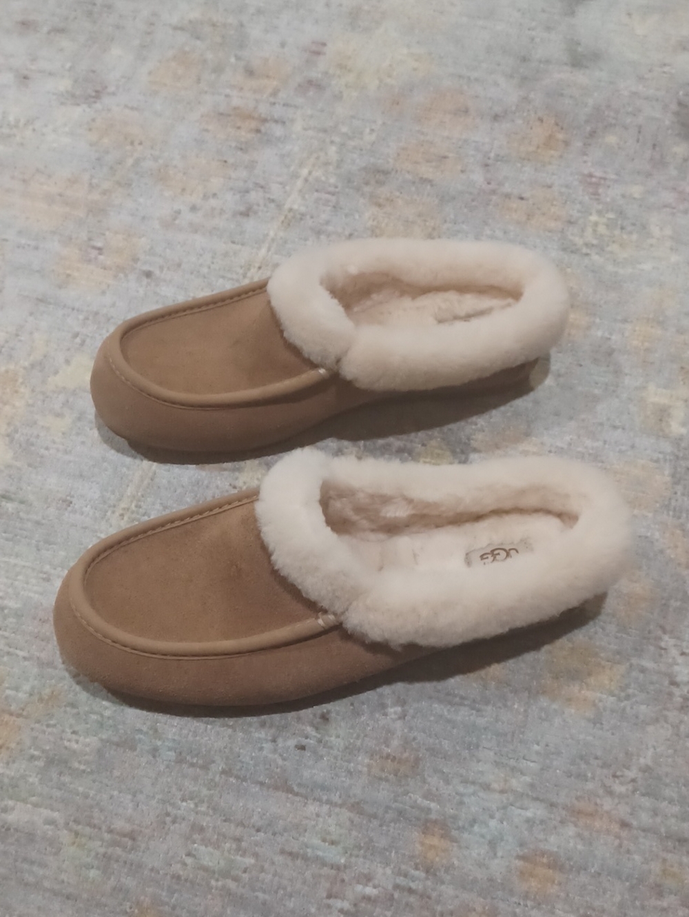 UGG Ansly Mule